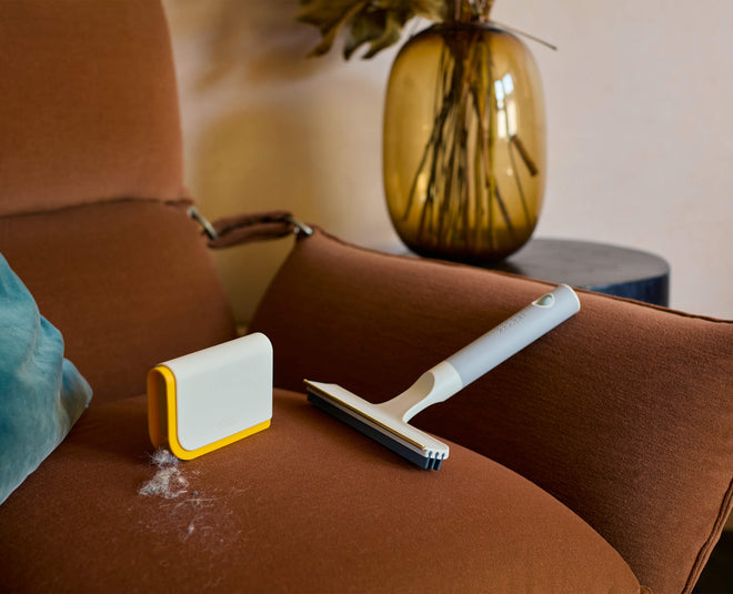 CleanTech™ Pet Hair &amp; Carpet Cleaning Set